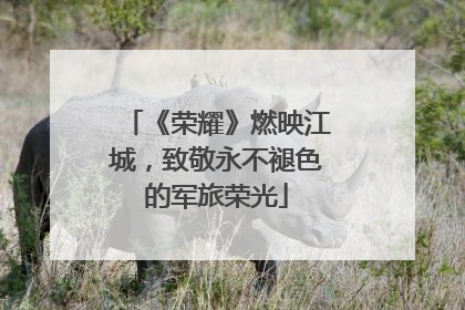 《荣耀》燃映江城，致敬永不褪色的军旅荣光