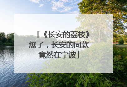 《长安的荔枝》爆了，长安的同款竟然在宁波