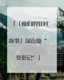 「俺们的驻村故事」深山坳“变形记”