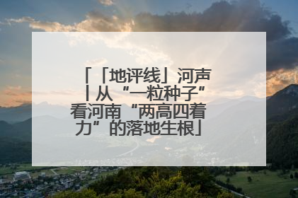 「地评线」河声丨从“一粒种子”看河南“两高四着力”的落地生根