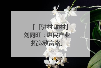 「驻村·助村」刘同旺：惠民产业拓宽致富路