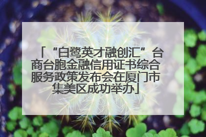 “白鹭英才融创汇”台商台胞金融信用证书综合服务政策发布会在厦门市集美区成功举办