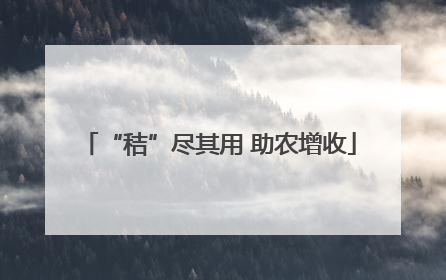 “秸”尽其用 助农增收