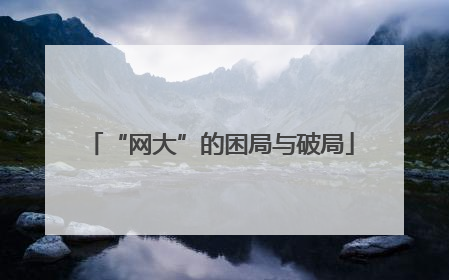 “网大”的困局与破局