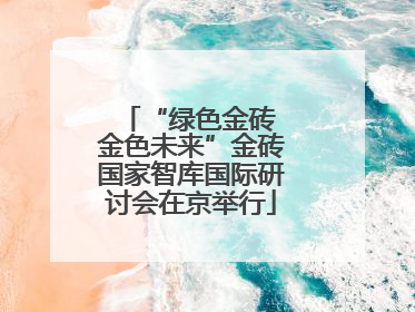 “绿色金砖 金色未来”金砖国家智库国际研讨会在京举行