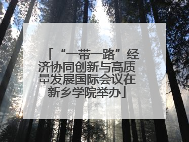 “一带一路”经济协同创新与高质量发展国际会议在新乡学院举办