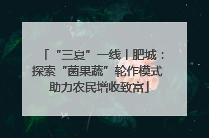 “三夏”一线丨肥城：探索“菌果蔬”轮作模式 助力农民增收致富