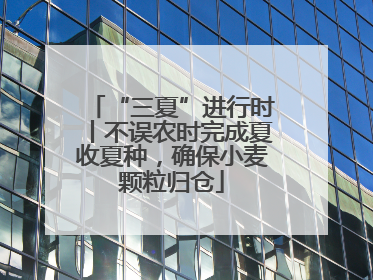“三夏”进行时丨不误农时完成夏收夏种，确保小麦颗粒归仓