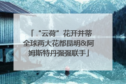 “云荷”花开并蒂 全球两大花都昆明&阿姆斯特丹强强联手