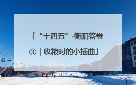 “十四五”·衡阳答卷③｜收粮时的小插曲