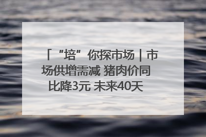 “培”你探市场｜市场供增需减 猪肉价同比降3元 未来40天便宜猪肉敞开吃