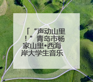 “声动山里！”青岛市杨家山里•西海岸大学生音乐节火热出圈