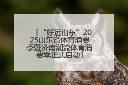 “好运山东”2025山东省体育消费季暨济南潮流体育消费季正式启动
