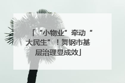 “小物业”牵动“大民生”！舞钢市基层治理显成效