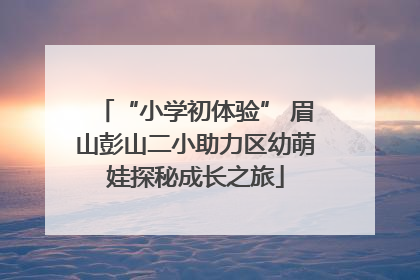 “小学初体验” 眉山彭山二小助力区幼萌娃探秘成长之旅
