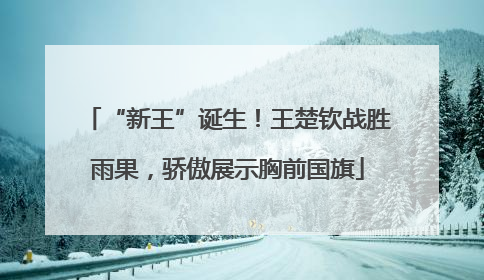 “新王”诞生！王楚钦战胜雨果，骄傲展示胸前国旗