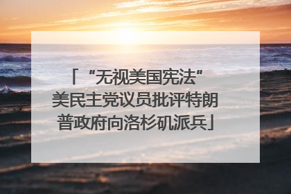 “无视美国宪法” 美民主党议员批评特朗普政府向洛杉矶派兵