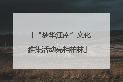“梦华江南”文化雅集活动亮相柏林