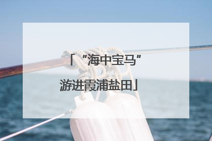 “海中宝马”游进霞浦盐田
