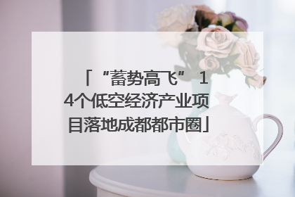 “蓄势高飞” 14个低空经济产业项目落地成都都市圈