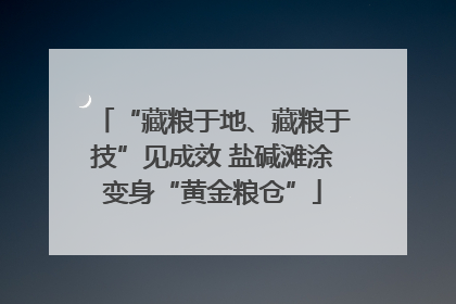 “藏粮于地、藏粮于技”见成效 盐碱滩涂变身“黄金粮仓”