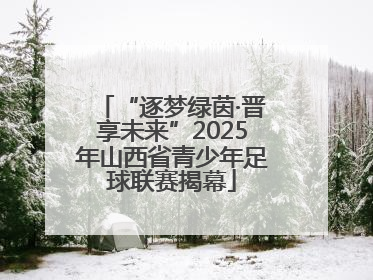 “逐梦绿茵·晋享未来”2025年山西省青少年足球联赛揭幕