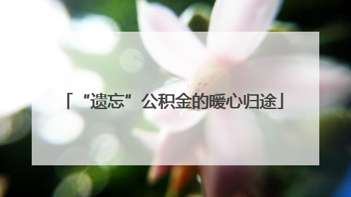 “遗忘”公积金的暖心归途