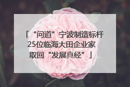 “问道”宁波制造标杆 25位临海大田企业家取回“发展真经”