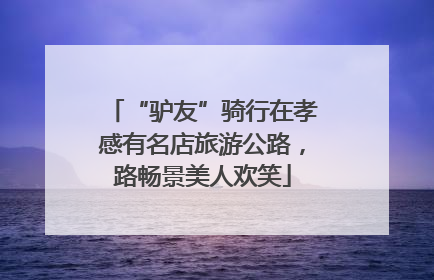 “驴友”骑行在孝感有名店旅游公路，路畅景美人欢笑