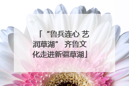 “鲁兵连心 艺润草湖” 齐鲁文化走进新疆草湖