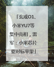 玄戒O1、小米YU7等集中亮相，雷军：小米芯片要对标苹果