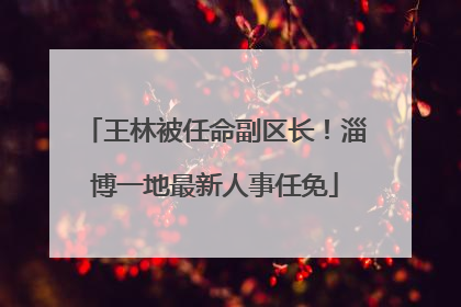 王林被任命副区长！淄博一地最新人事任免