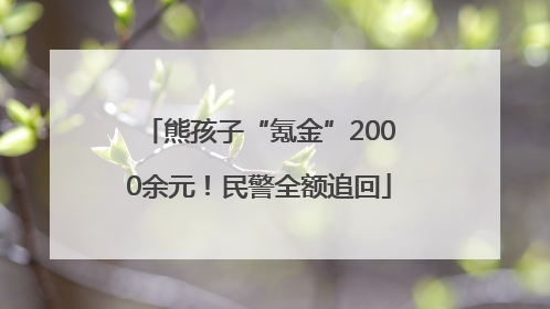 熊孩子“氪金”2000余元！民警全额追回