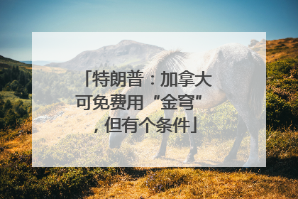 特朗普：加拿大可免费用“金穹”，但有个条件