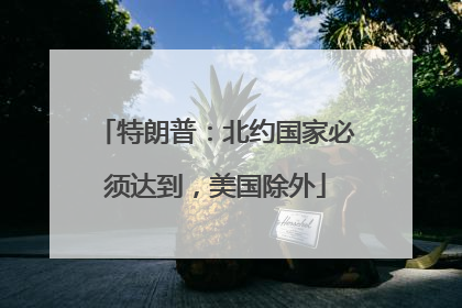 特朗普：北约国家必须达到，美国除外