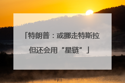 特朗普：或挪走特斯拉 但还会用“星链”