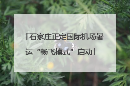 石家庄正定国际机场暑运“畅飞模式”启动