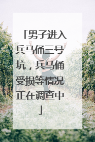 男子进入兵马俑三号坑，兵马俑受损等情况正在调查中