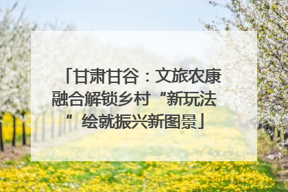 甘肃甘谷：文旅农康融合解锁乡村“新玩法”绘就振兴新图景