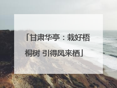 甘肃华亭：栽好梧桐树 引得凤来栖