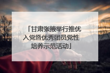 甘肃张掖举行推优入党暨优秀团员党性培养示范活动