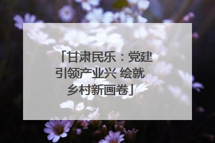 甘肃民乐：党建引领产业兴 绘就乡村新画卷