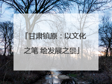 甘肃镇原：以文化之笔 绘发展之景