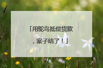 用鸵鸟抵偿货款，案子结了！