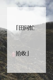 田间忙抢收