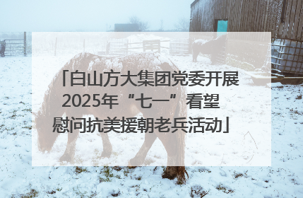 白山方大集团党委开展2025年“七一”看望慰问抗美援朝老兵活动