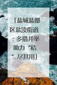 盐城盐都区盐渎街道：多措并举 助力“秸”尽其用
