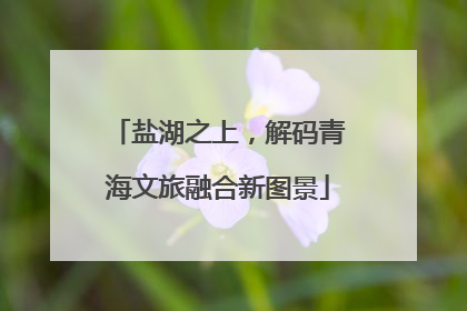 盐湖之上，解码青海文旅融合新图景