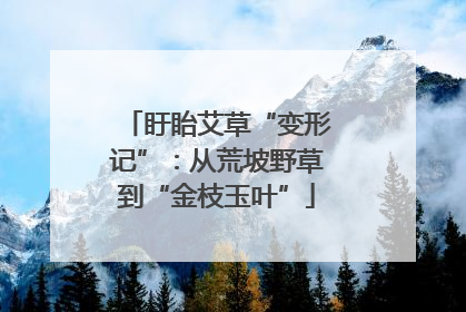 盱眙艾草“变形记”：从荒坡野草到“金枝玉叶”
