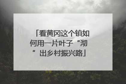 看黄冈这个镇如何用一片叶子“沏”出乡村振兴路